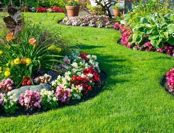 Landscape Design