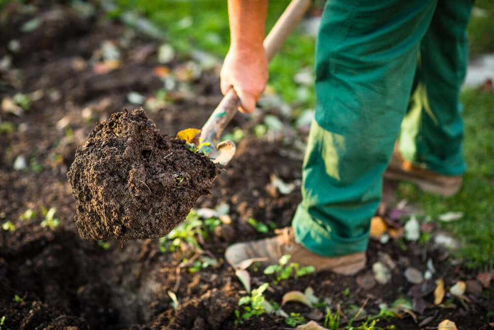 Person gardening