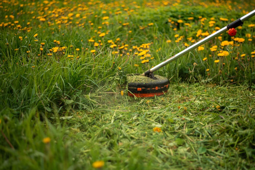 Person cutting weeds