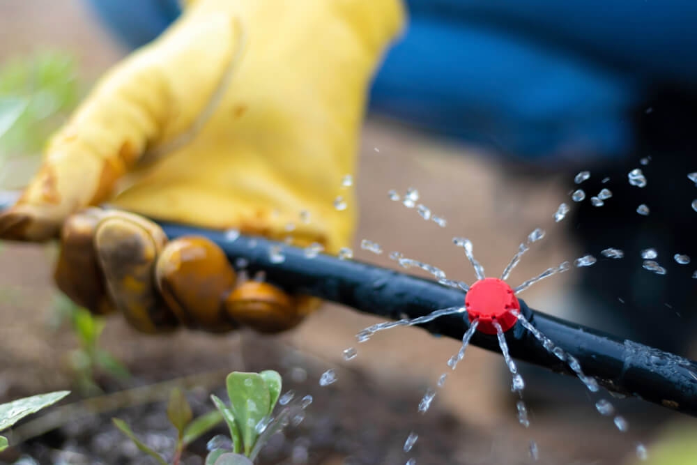 Person setting up irrigation system