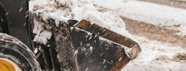 Hardscape & Landscape Services in Canton, MI | M & D - canton-4