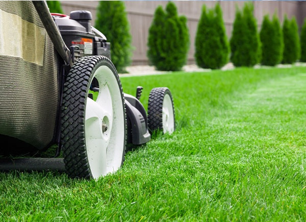 Lawn Care Services in Livonia, MI | M & D Outdoor Design - lawn-care-1