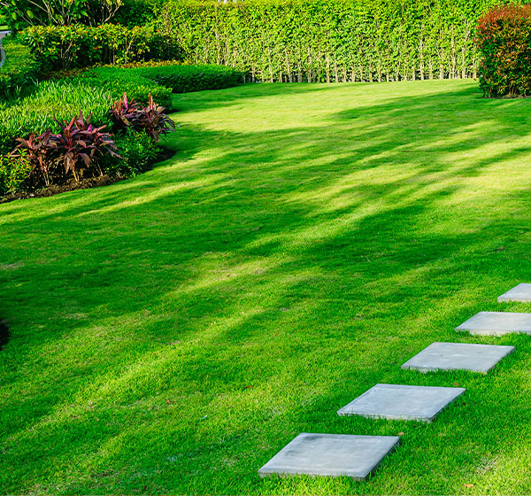 Lawn Care Services in Livonia, MI | M & D Outdoor Design - lawn-care-2