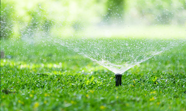 Lawn Care Services in Livonia, MI | M & D Outdoor Design - lawn-care-3